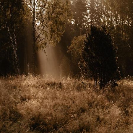 Stiftsgarden Tallnaes Скиллингарюд Экстерьер фото