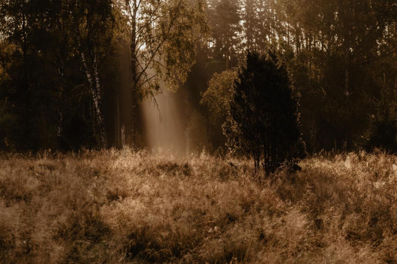 Stiftsgarden Tallnaes Скиллингарюд Экстерьер фото